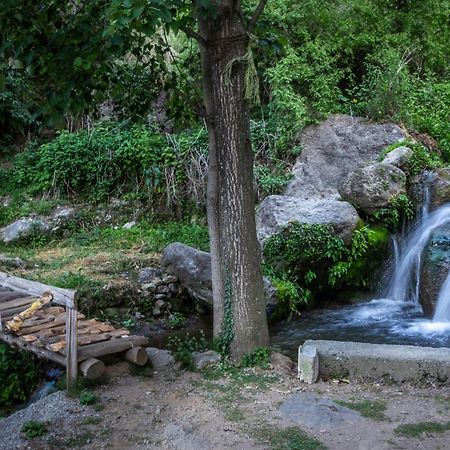Babutaal Resort Чакрата Экстерьер фото
