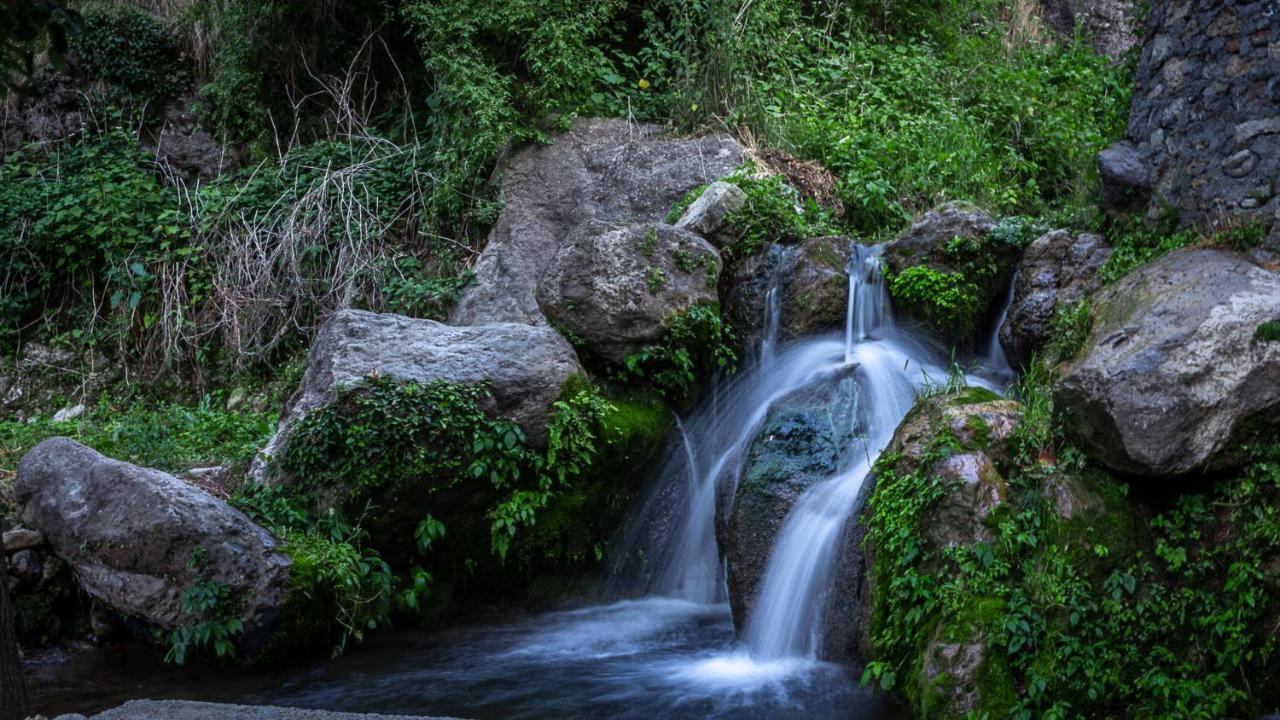 Babutaal Resort Чакрата Экстерьер фото